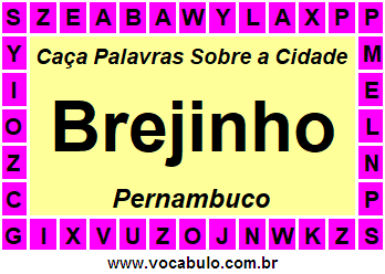 Caça Palavras Sobre a Cidade Pernambucana Brejinho