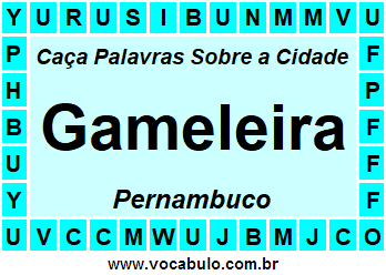 Caça Palavras Sobre a Cidade Gameleira do Estado Pernambuco