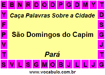Caça Palavras Sobre a Cidade São Domingos do Capim do Estado Pará